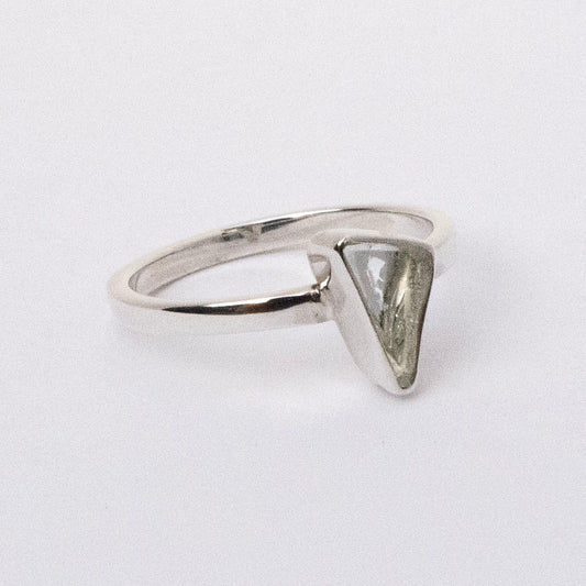 Send Midi Ring